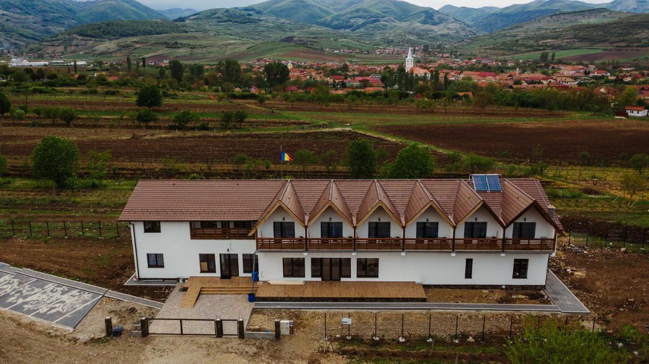 Pensiunea Casa Negrea Ighiu Exterior foto